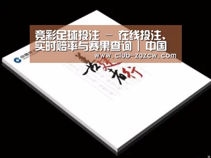 项目名称七