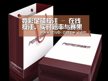 项目名称十二
